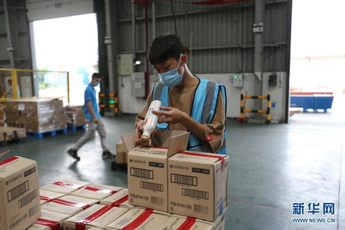 開放不息，海淘不止 疫情防控常態化下的廣州對外開放與海淘物流之路