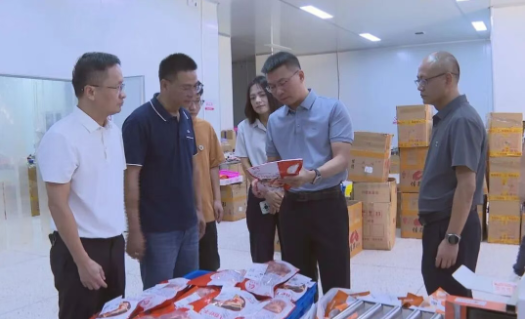 縣長調研電商及口岸經濟工作，聚焦海淘物流發展新路徑